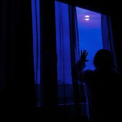 植物大战僵尸化学版